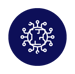 icon 6 copia